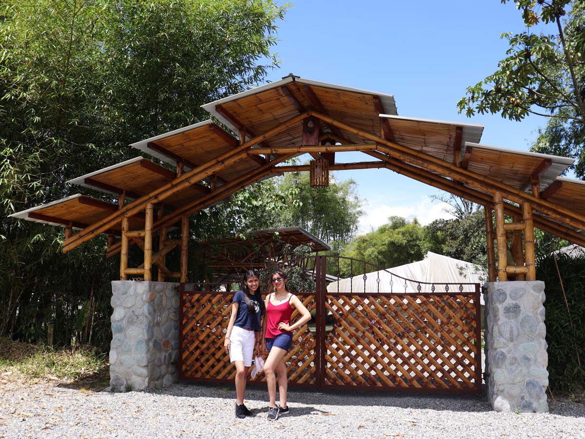 Imagen de galeria