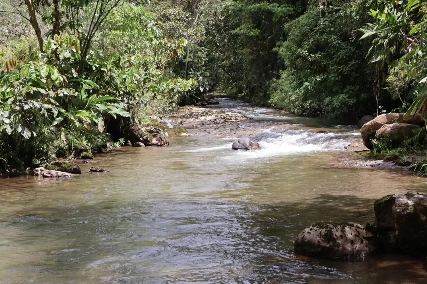 Palmar del Río - imagen 1